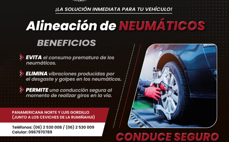  Alineación de neumáticos